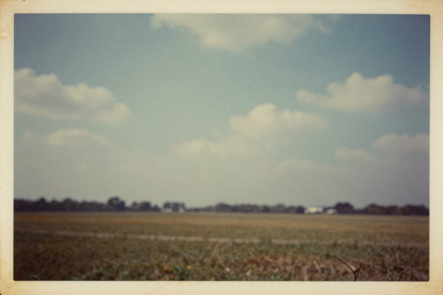 Original with background (faded)